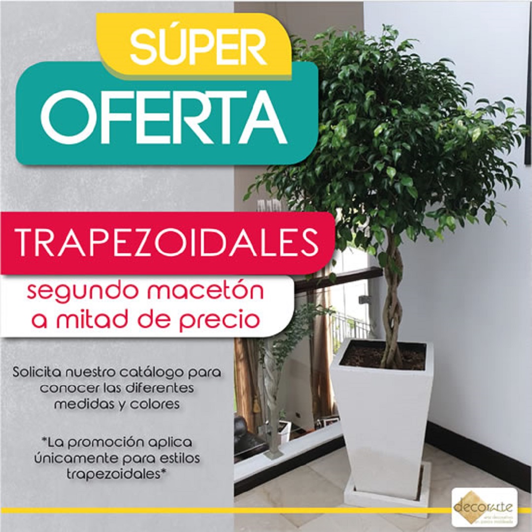 Oferta 2